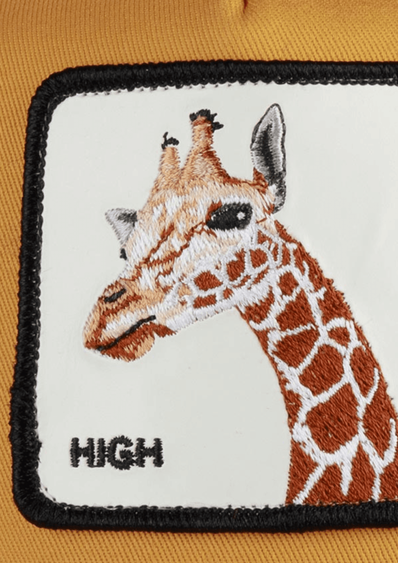 ⁦כובע מצחייה High⁩ – תמונה ⁦5⁩
